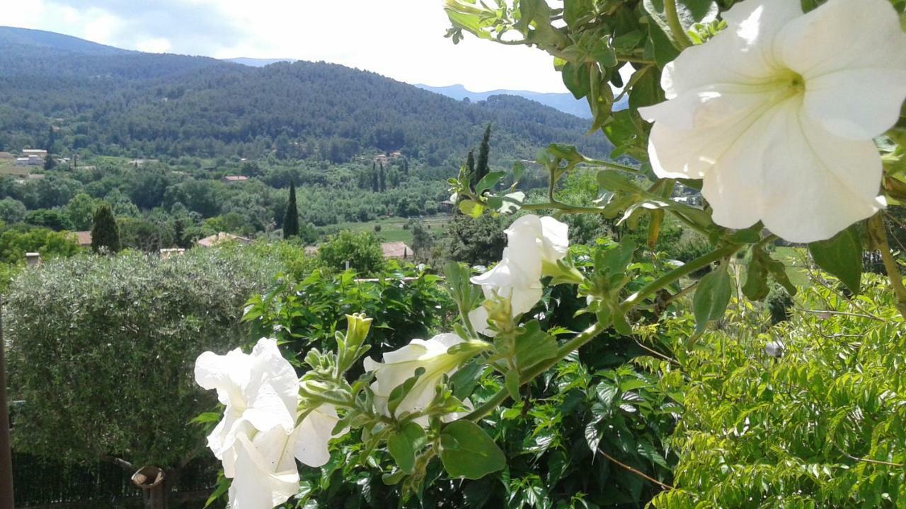 Studio Les Oliviers Auriol Εξωτερικό φωτογραφία